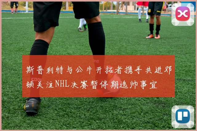 斯普利特与公牛开拓者携手共进邓顿关注NHL决赛暂停期选帅事宜