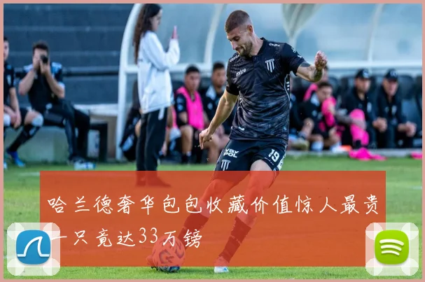 哈兰德奢华包包收藏价值惊人最贵一只竟达33万镑